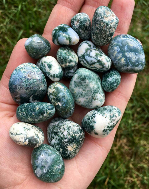 Tree Agate Gemstones - WILD FLIER GIFTS AND APPAREL