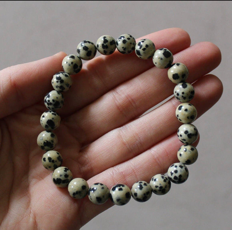 Pebble House Dalmatian Jasper Bracelet 8mm (Crystals and Stones) - WILD FLIER GIFTS AND APPAREL