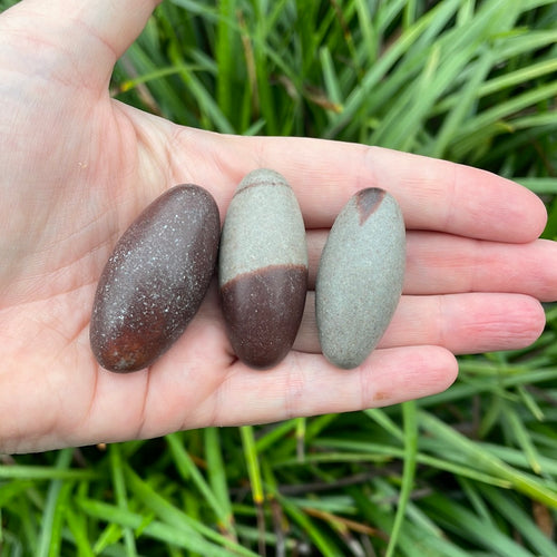 Shiva Lingam-Tumbled - WILD FLIER GIFTS AND APPAREL