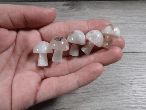 Small Gemstone Mushrooms: Flower Agate | WILD FLIER GIFTS AND APPAREL