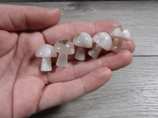 Small Gemstone Mushrooms: Flower Agate | WILD FLIER GIFTS AND APPAREL