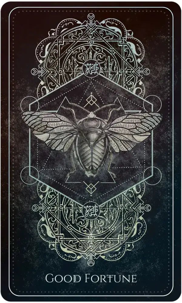 Talisman Oracle | WILD FLIER GIFTS AND APPAREL