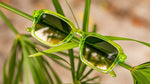 Knockaround Pucker Up Panoramas Unisex Polarized Sunglasses