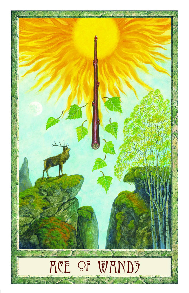 The Druidcraft Tarot (78 Cards and 192 Page Guidebook) | WILD FLIER GIFTS AND APPAREL