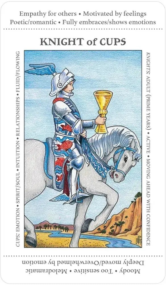 Apprentice Tarot Deck | WILD FLIER GIFTS AND APPAREL