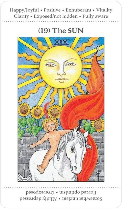 Apprentice Tarot Deck | WILD FLIER GIFTS AND APPAREL