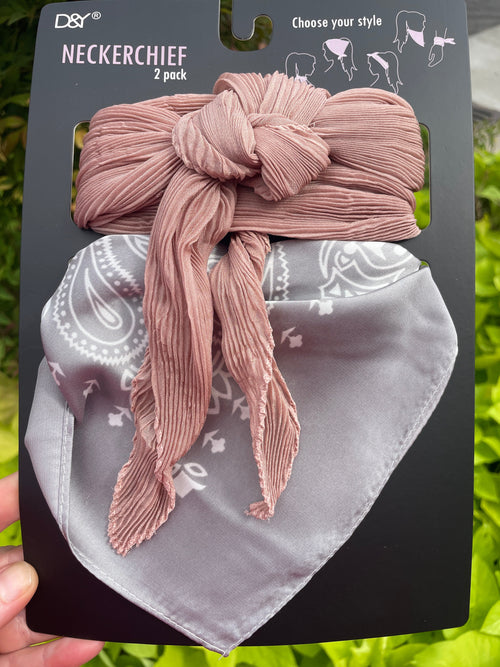 D&Y Neckerchief 2 Pack | WILD FLIER GIFTS AND APPAREL