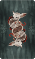 Wisdom of the Wild Things Oracle | WILD FLIER GIFTS AND APPAREL