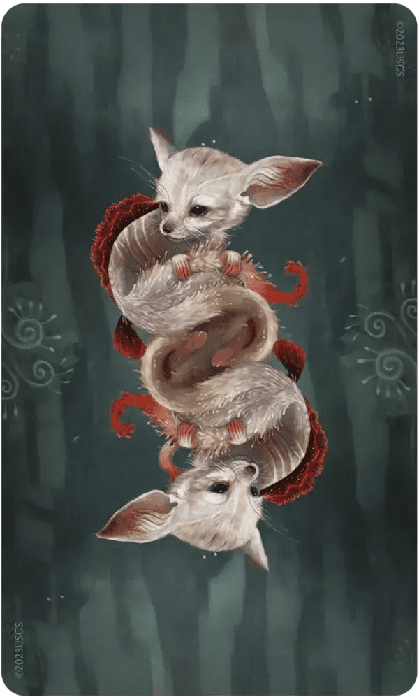 Wisdom of the Wild Things Oracle | WILD FLIER GIFTS AND APPAREL