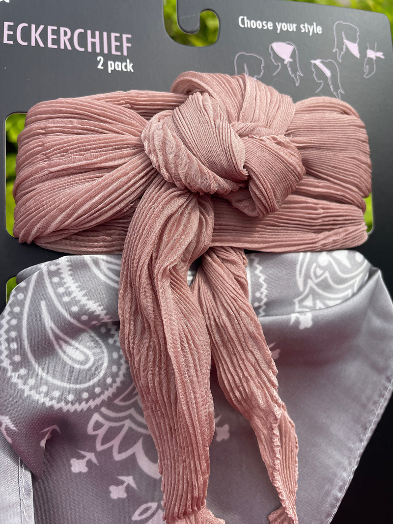 D&Y Neckerchief 2 Pack | WILD FLIER GIFTS AND APPAREL