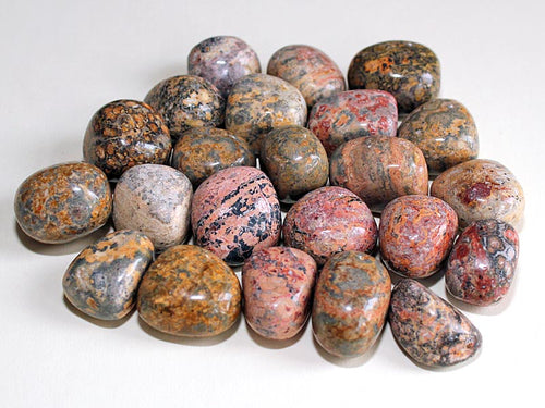 Leopard Skin Jasper Gemstones - WILD FLIER GIFTS AND APPAREL