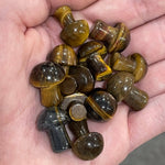 Small Gemstone Mushrooms : Tiger’s Eye