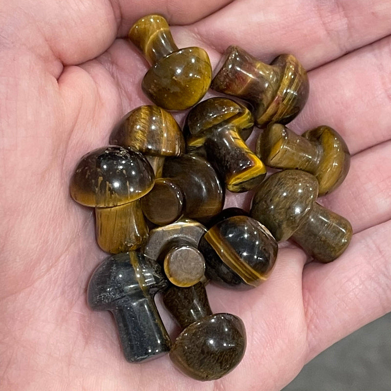 Small Gemstone Mushrooms : Tiger’s Eye