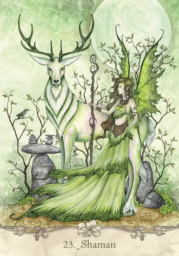 Fairy Wisdom Oracle Card Deck and Book Set