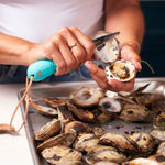 Toadfish Put Em’ Back Oyster Knife | WILD FLIER GIFTS AND APPAREL