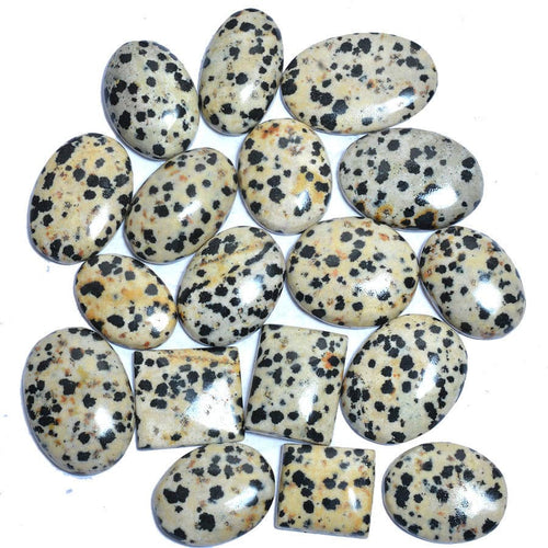 Dalmatian Jasper Gemstones - WILD FLIER GIFTS AND APPAREL