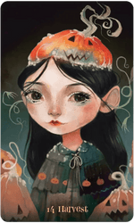Wisdom of the Wild Things Oracle | WILD FLIER GIFTS AND APPAREL