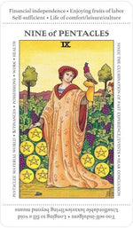 Apprentice Tarot Deck | WILD FLIER GIFTS AND APPAREL