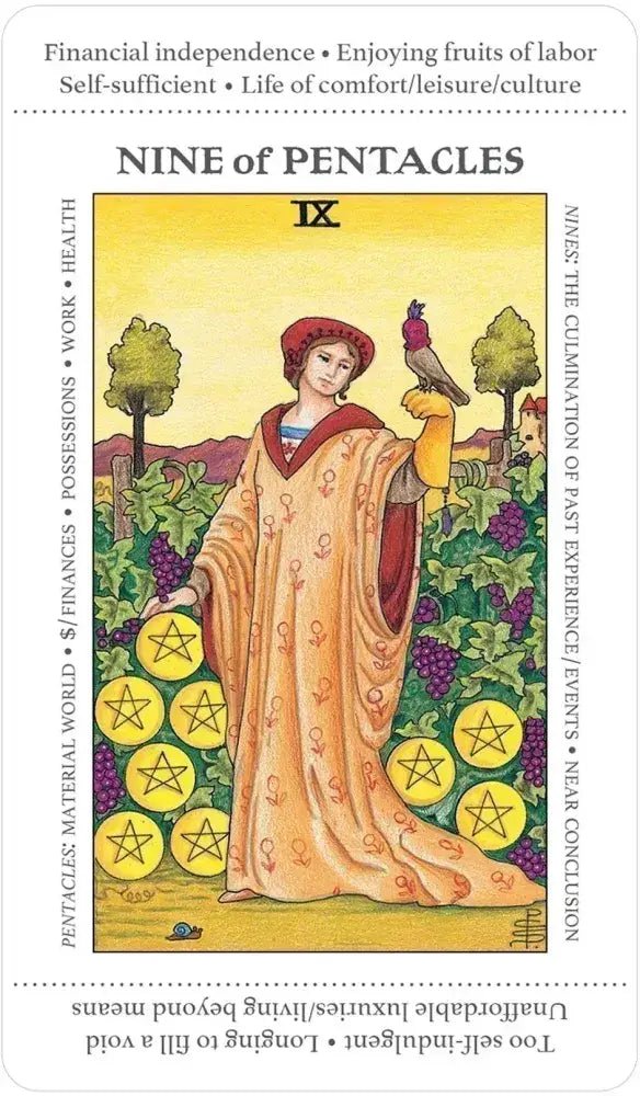 Apprentice Tarot Deck | WILD FLIER GIFTS AND APPAREL