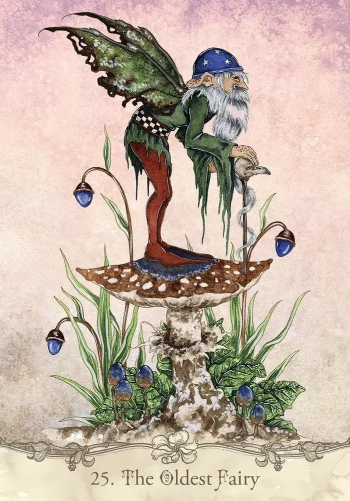 Fairy Wisdom Oracle Card Deck and Book Set