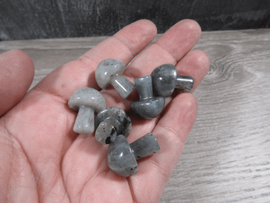 Small Gemstone Mushrooms for Crystal and Gift Shops : Labradorite | WILD FLIER GIFTS AND APPAREL