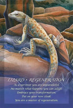 Spirit Of The Animals Oracle Card Deck