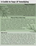 Blue River White Sage 4" Bundle (Bulk Herbs)