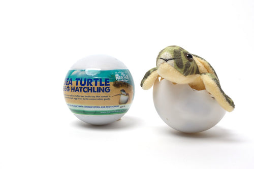 Marine Life Rescue Project Adopt Your Own Sea Turtles - WILD FLIER GIFTS AND APPAREL