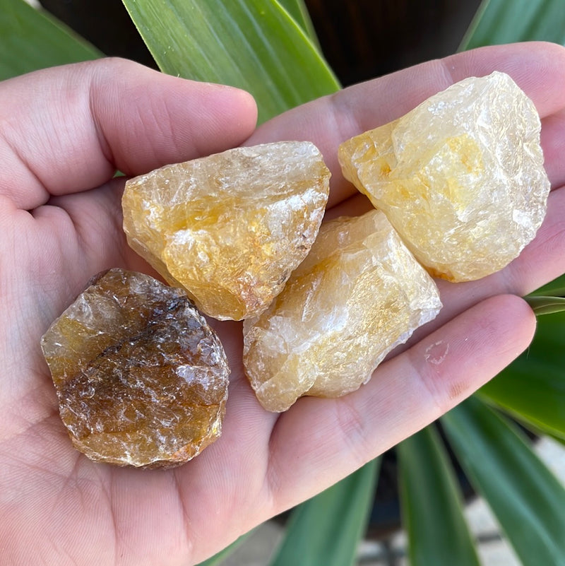 Pebble House Hematoid Quartz Raw Gemstone Crystals
