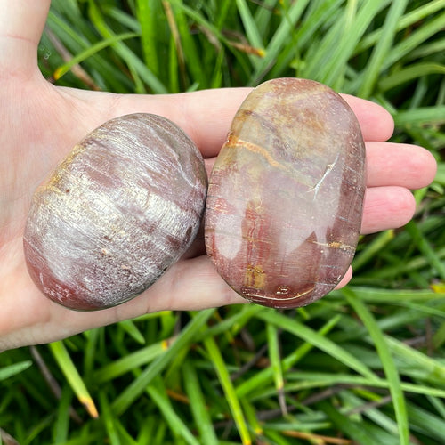 Agate-Palm Stone - WILD FLIER GIFTS AND APPAREL