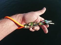 Neckz Buoyz Floating Wrist Key Fobz