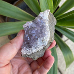 Amethyst-Druzy Geode - WILD FLIER GIFTS AND APPAREL